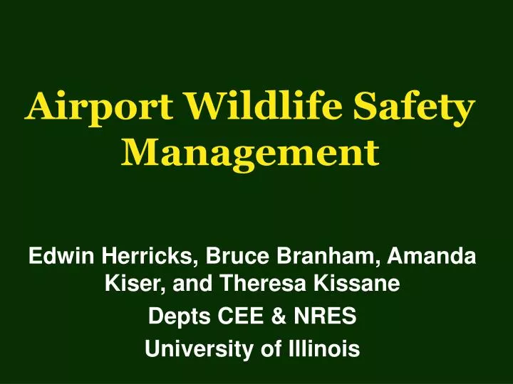 airport wildlife safety management