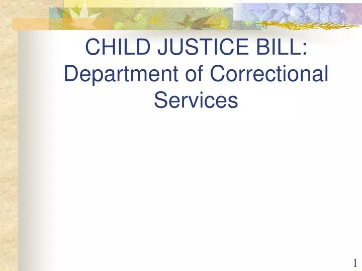 child justice bill department of correctional services