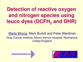 Detection of reactive oxygen and nitrogen species using leuco dyes (DCFH 2 and DHR)