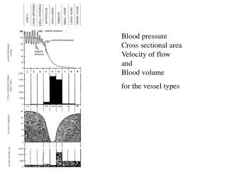 Blood pressure Cross sectional area Velocity of flow and Blood volume for the vessel types