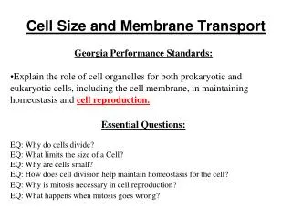 Cell Size and Membrane Transport
