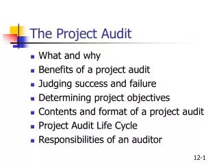 The Project Audit