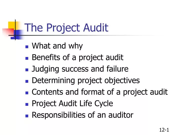 the project audit