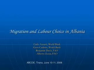 Migration and Labour Choice in Albania