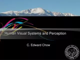 Human Visual Systems and Perception
