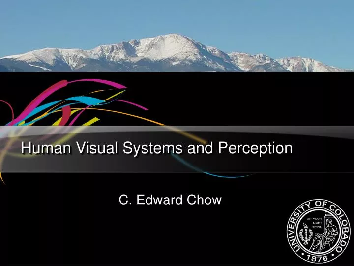 human visual systems and perception