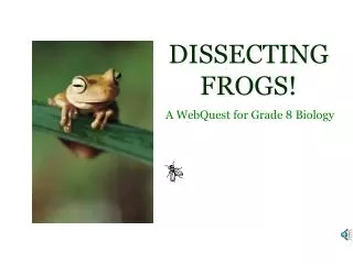 DISSECTING FROGS!