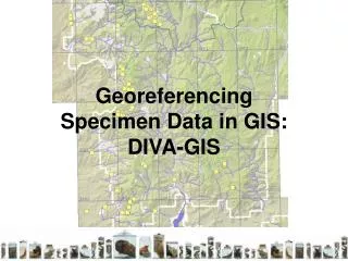 Georeferencing Specimen Data in GIS: DIVA-GIS