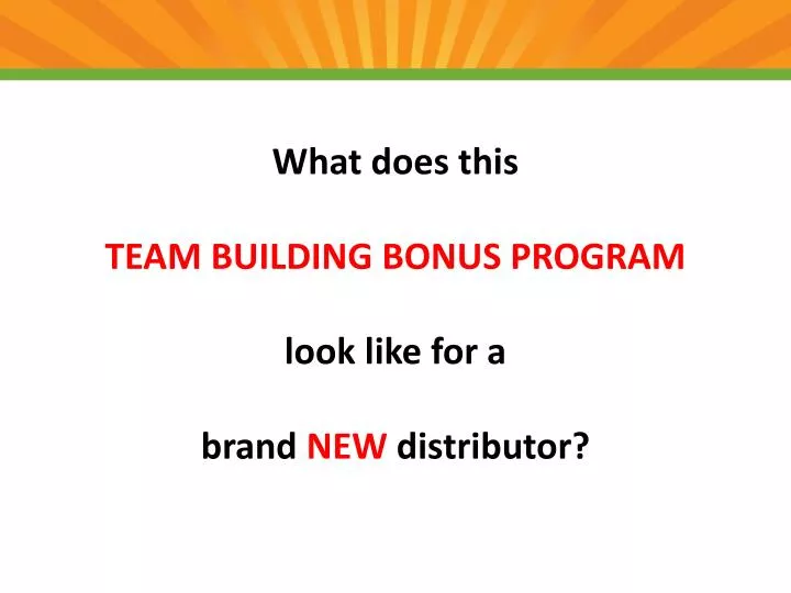 what does this team building bonus program look like for a brand new distributor