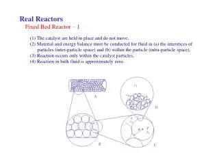 Fixed Bed Reactor – 1