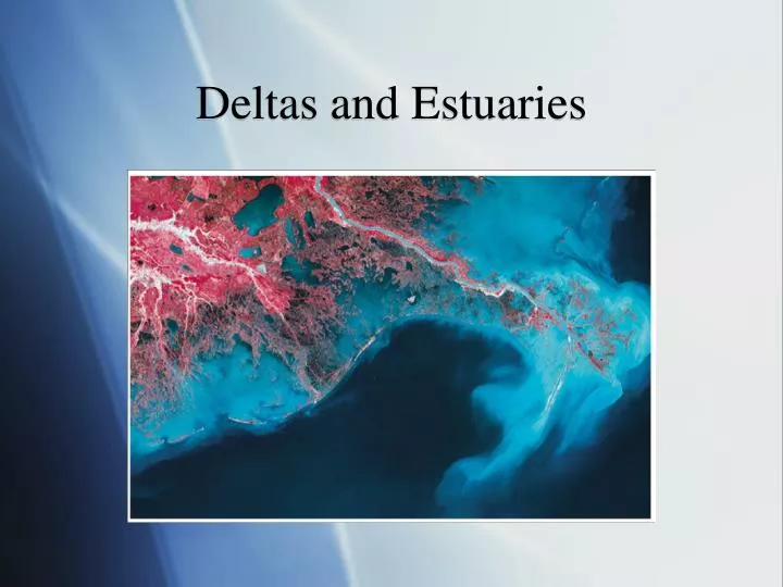 deltas and estuaries