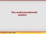 The endocannabinoid system - slide 1