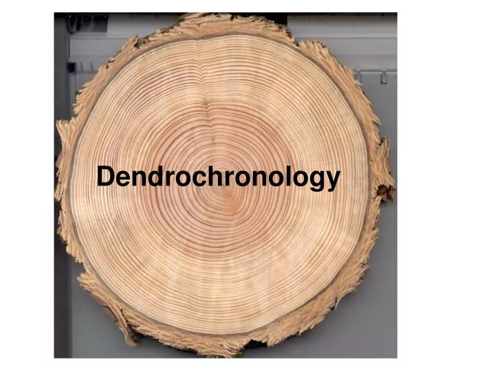 Tree Rings, Ice Cores, and Varves | CK-12 Foundation