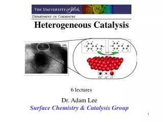 Heterogeneous Catalysis 6 lectures