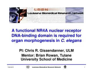 A functional NR4A nuclear receptor DNA-binding domain is required for organ morphogenesis in C. elegans