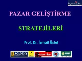 Prof. Dr. İsmail Üstel