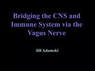 Bridging the CNS and Immune System via the Vagus Nerve