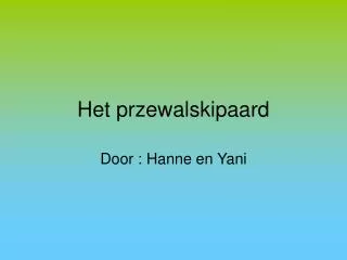 het przewalskipaard