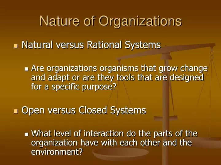 nature of organizations
