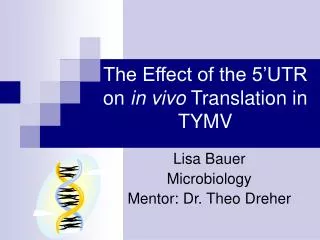 The Effect of the 5’UTR on in vivo Translation in TYMV