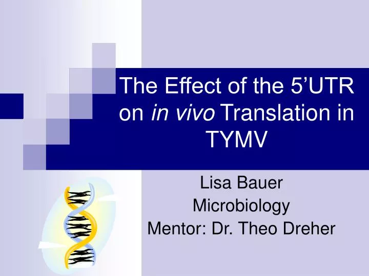 the effect of the 5 utr on in vivo translation in tymv