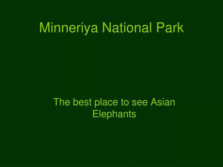 minneriya national park