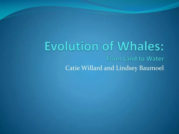 evolution of whales from land to water