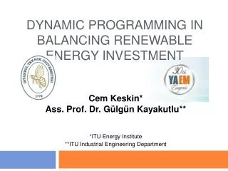 DYNAMIC PROGRAMMING IN BALANCING RENEWABLE ENERGY INVESTMENT