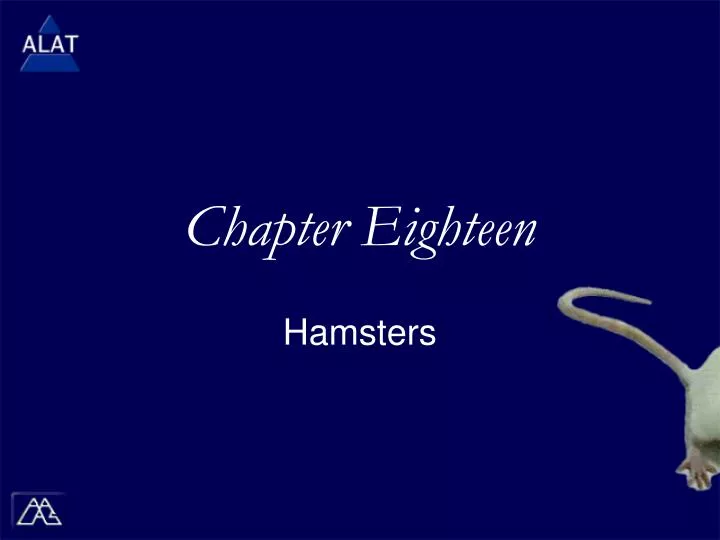 chapter eighteen