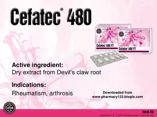 Active ingredient: Dry extract from Devil‘s claw root