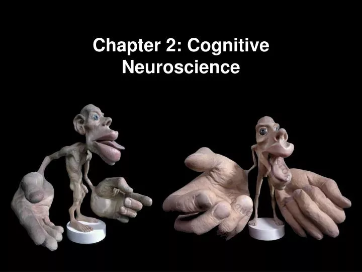 chapter 2 cognitive neuroscience