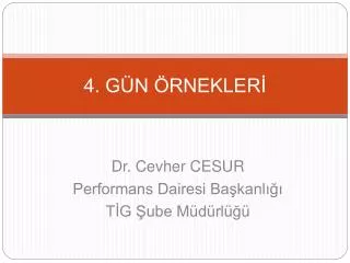 4 g n rnekler