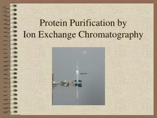 Protein Purification by Ion Exchange Chromatography