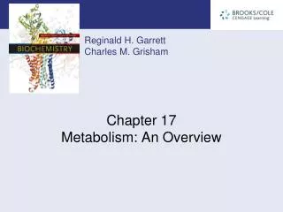 Chapter 17 Metabolism: An Overview