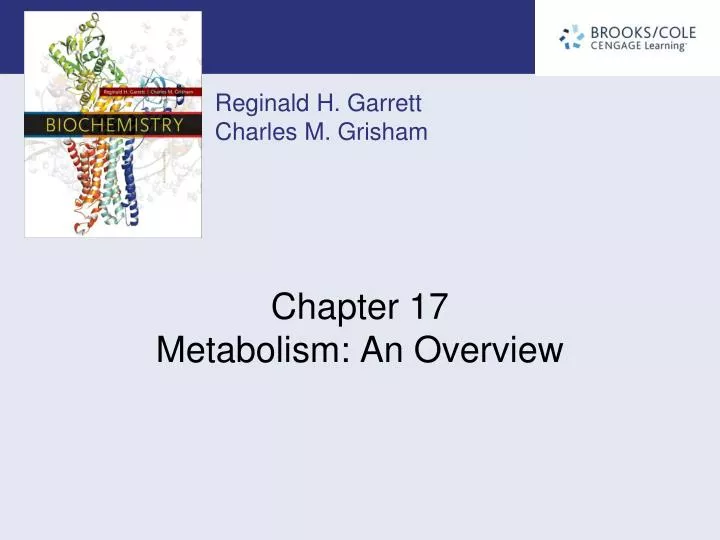 chapter 17 metabolism an overview