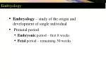 Embryology - slide 1