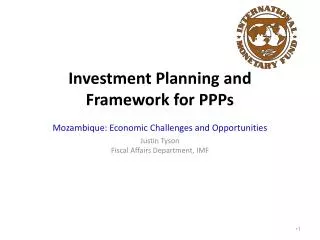 Investment Planning and Framework for PPPs Mozambique: Economic Challenges and Opportunities