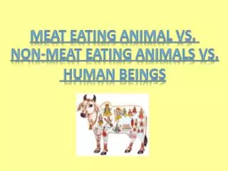 Meat Eating Animal vs. Non-meat Eating Animals vs. Human Beings