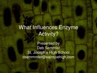 What Influences Enzyme Activity?