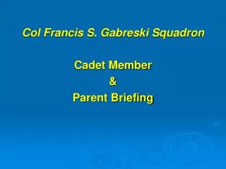 Col Francis S. Gabreski Squadron Cadet Member &amp; Parent Briefing