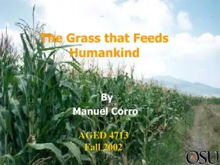 The Grass that Feeds Humankind