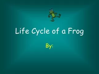 life cycle of a frog
