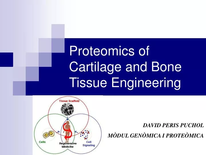 proteomics of cartilage and bone tissue engineering