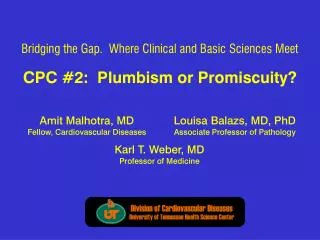 CPC #2: Plumbism or Promiscuity?