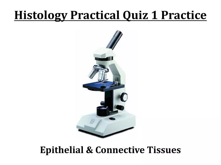 histology practical quiz 1 practice