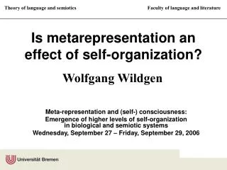 Is metarepresentation an effect of self-organization?