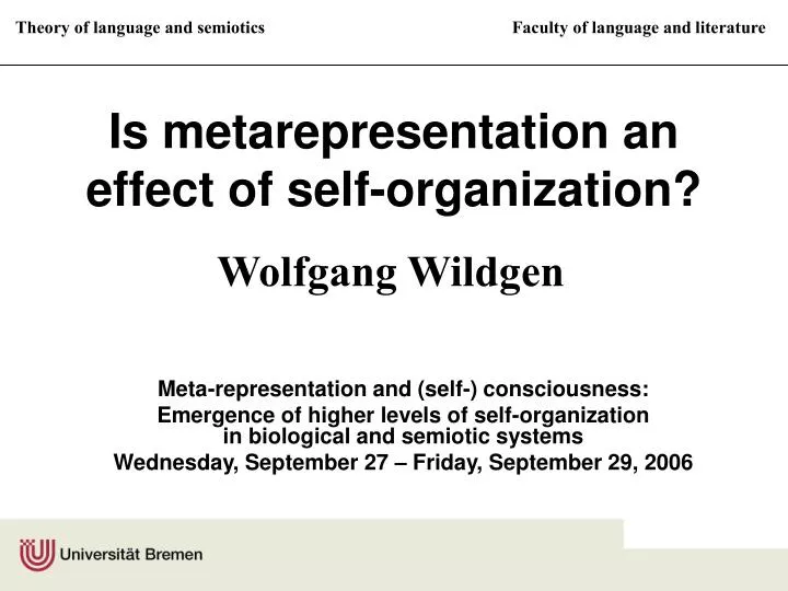 is metarepresentation an effect of self organization