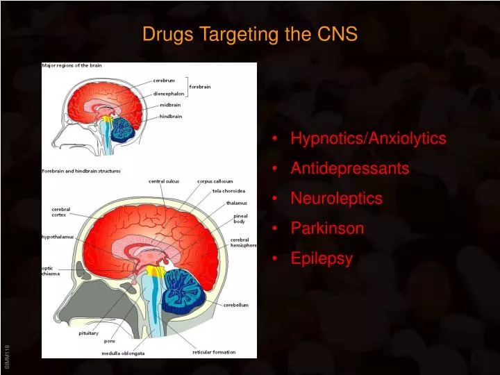drugs targeting the cns
