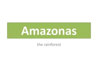 amazonas rainforest