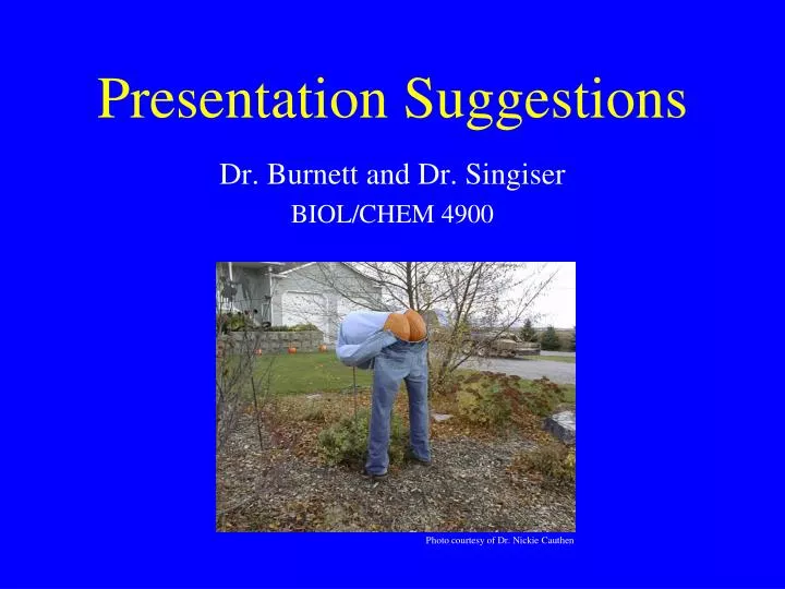 presentation suggestions
